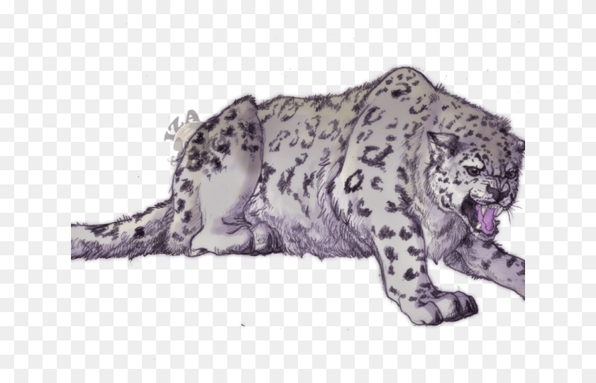 640x480 Leopardo De Las Nieves Dibujo Digital, La Vida Silvestre, Animal, Mamífero Hd Png