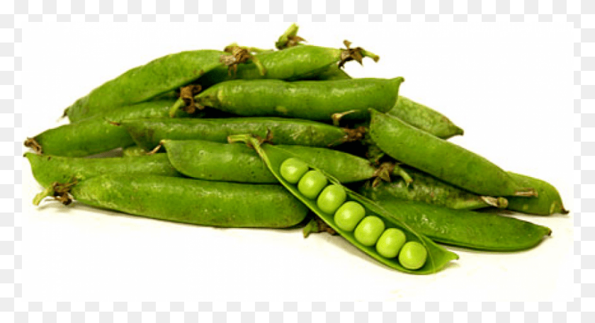 801x407 Snow Peas, Plant, Pea, Vegetable HD PNG Download