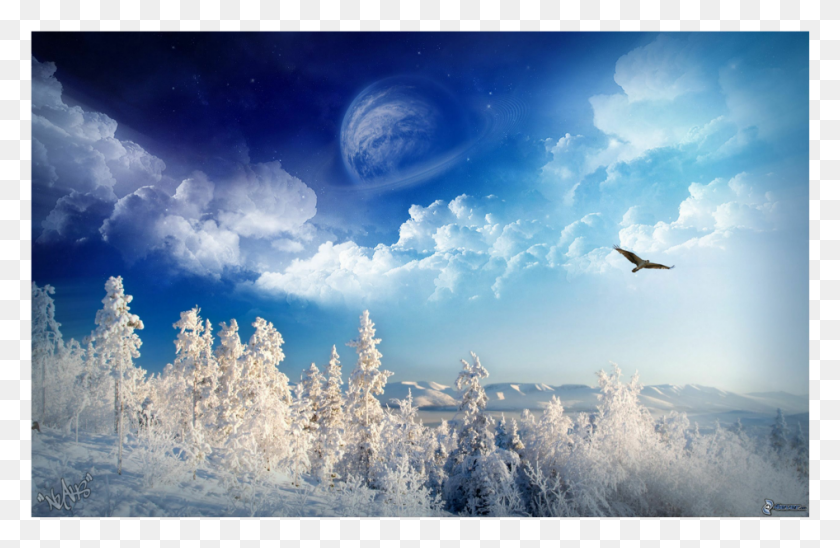 946x592 Snow Winter Background Winter Wonderland Dual Screen, Nature, Outdoors, Bird HD PNG Download