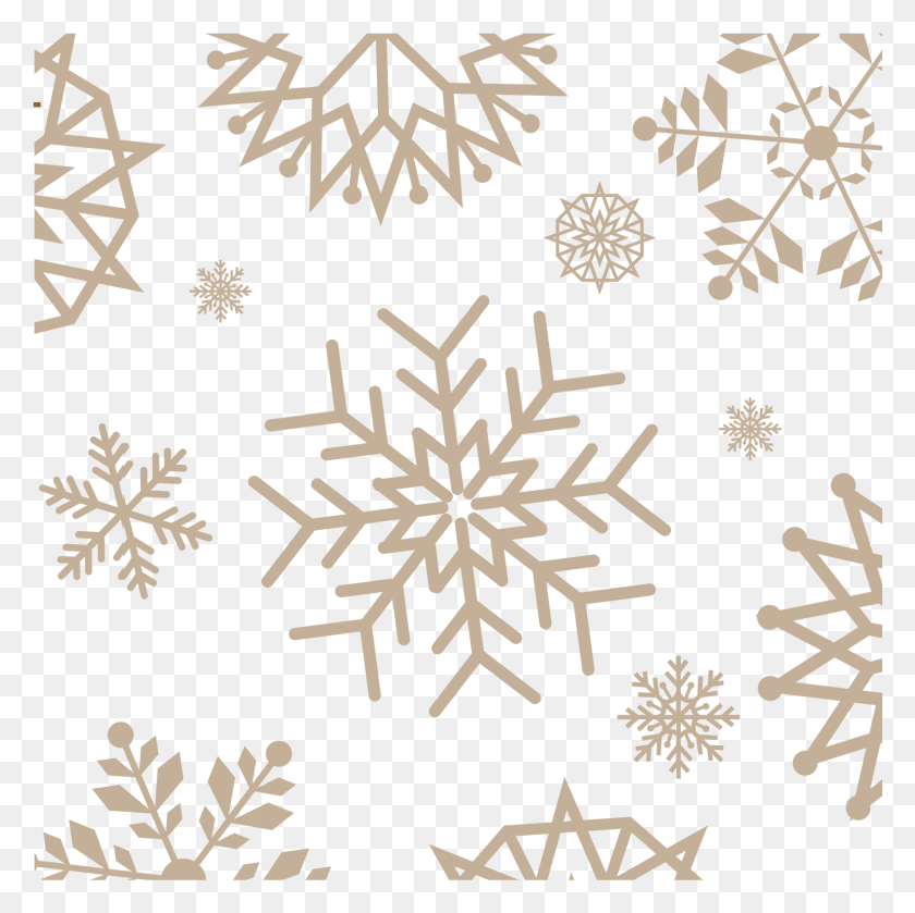 1496x1495 Snowflake Winter Computer File Illustration, Pattern, Rug, Ornament HD PNG Download