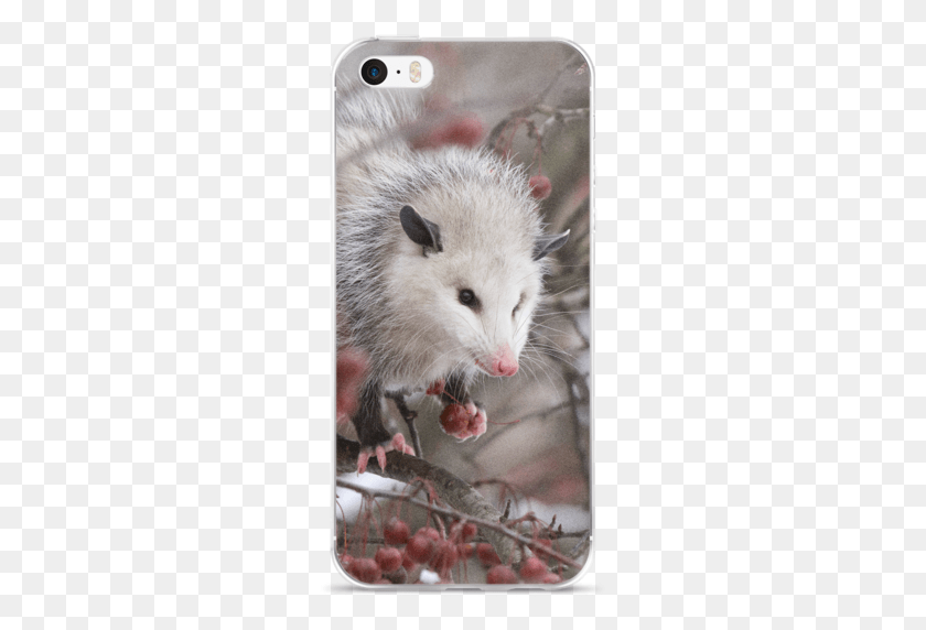 261x512 Snowpossum Iphone Case Kangaroo Rat, Rodent, Mammal, Animal HD PNG Download