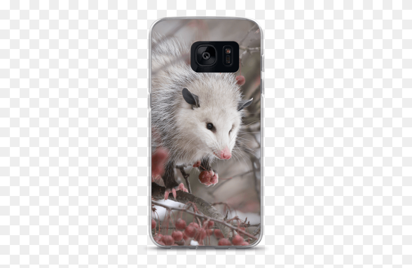 263x487 Descargar Png Snowpossum Samsung Case Possum, Rata, Roedor, Mamífero Hd Png