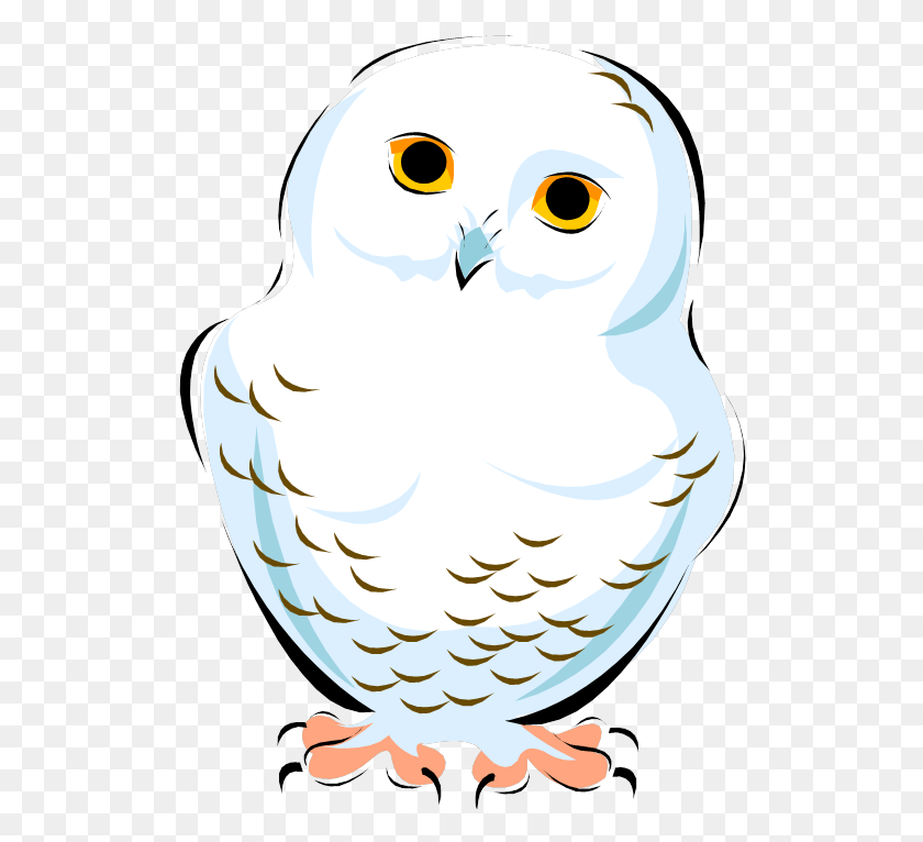 518x706 Snowy Owl Clipart Snowy Owl, Bird, Animal, Beak HD PNG Download