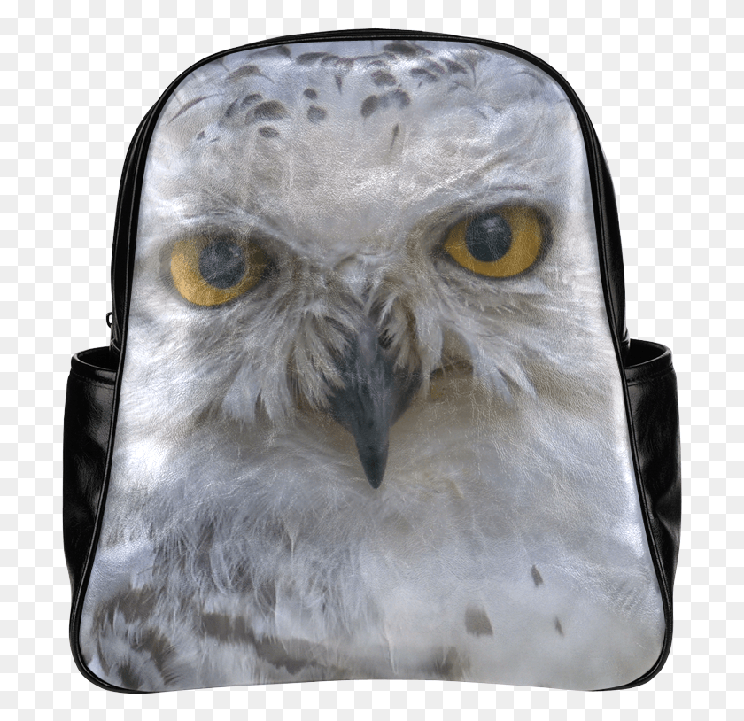 701x754 Snowy Owl Schnee Eule Owl 002 Multi Pockets Backpack Backpack, Bird, Animal, Beak HD PNG Download