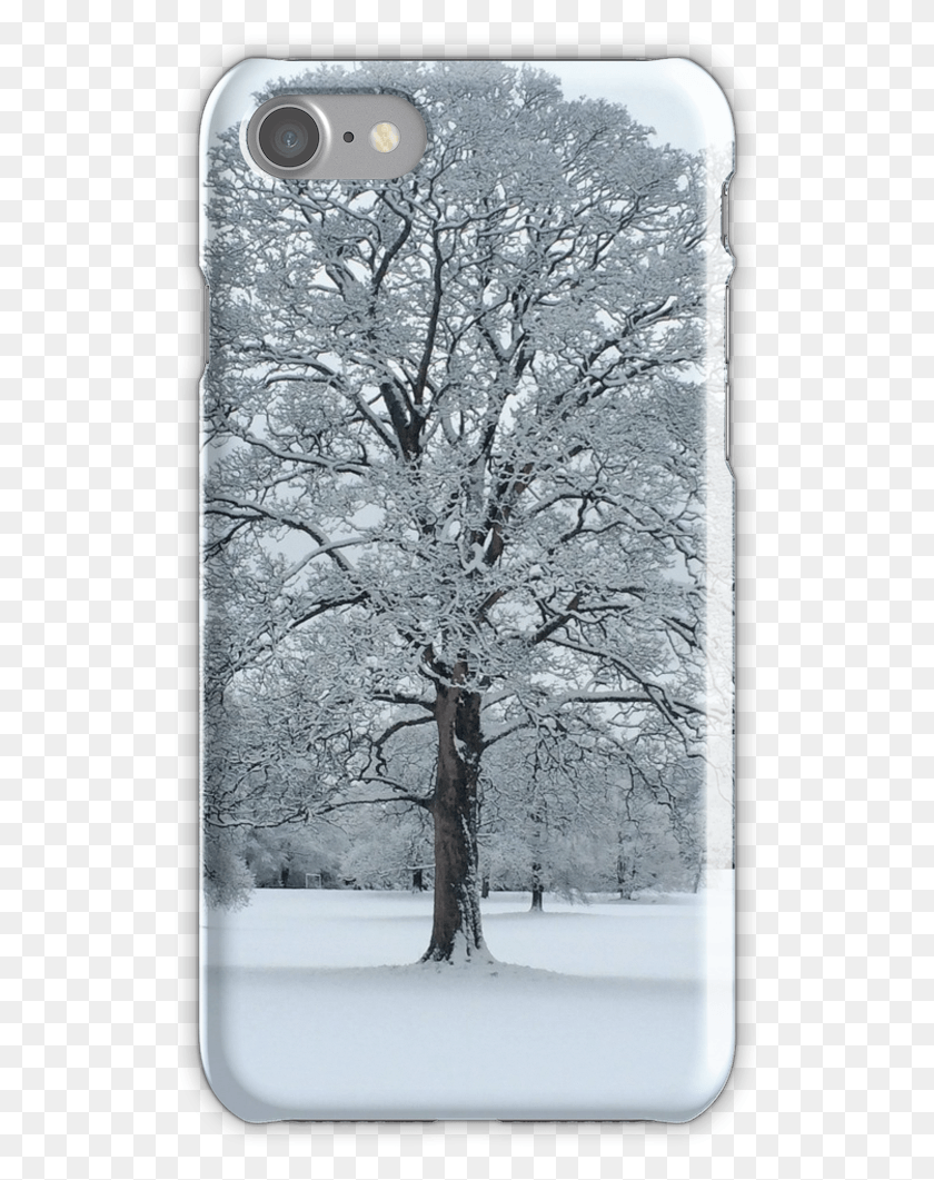 527x1001 Snowy Tree Iphone 7 Snap Case Mobile Phone Case, Plant, Tree Trunk, Oak HD PNG Download