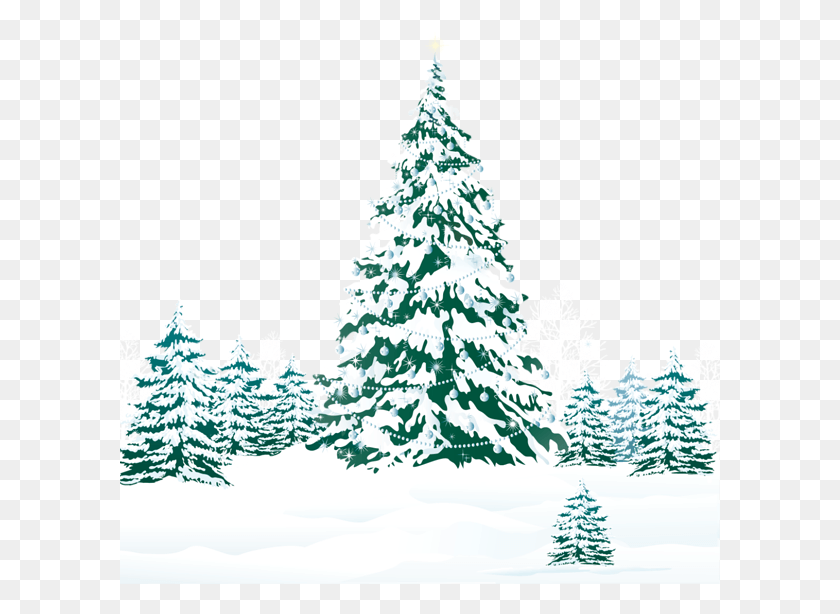601x554 Snowy Winter Ground With Trees Clipart Image Winter Christmas Tree, Tree, Plant, Ornament HD PNG Download