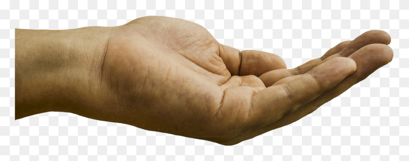 1200x419 So For A Stranger To Suddenly Enter The Office Asking Hand Begging, Finger, Person, Human HD PNG Download