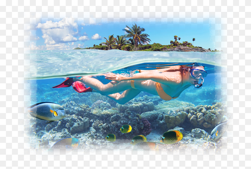 718x508 Soak It All In Tropical Snorkeling, Water, Fish, Animal Descargar Hd Png