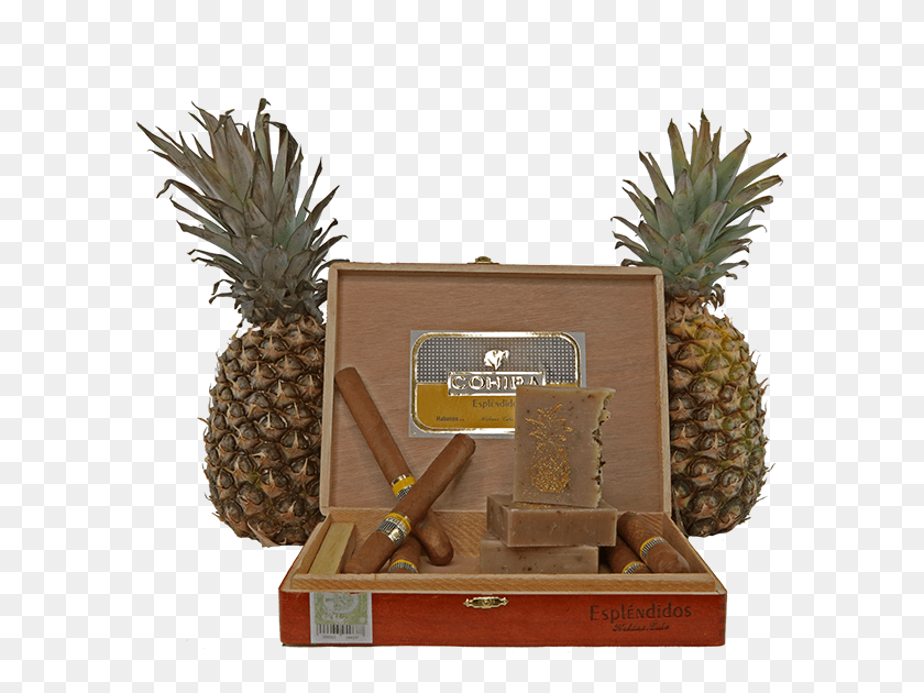 595x570 Soap With Pineapple And Cigars Pineapple, Plant, Fruit, Food HD PNG Download