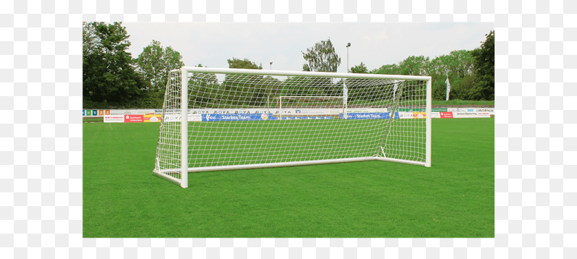 601x317 Soccer Goal Net, Grass, Plant, Lawn HD PNG Download