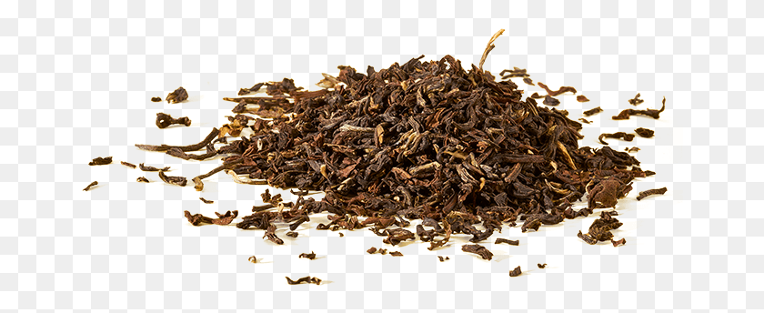 662x284 Social Media Assam Tea, Leaf, Plant, Tobacco HD PNG Download