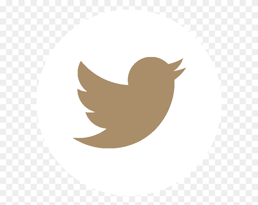 604x609 Descargar Png Iconos De Redes Sociales Vector Twitter Icono De Twitter Svg, Logotipo, Símbolo, Marca Registrada Hd Png
