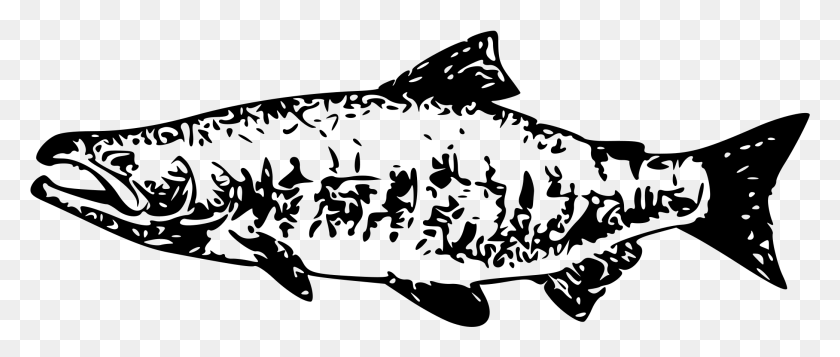 2084x794 Sockeye Salmon Clipart Chinook Salmon Vector, Gray, World Of Warcraft HD PNG Download
