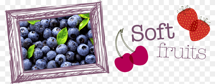 Soft Fruits Bilberry, Berry, Blueberry, Food, Fruit PNG