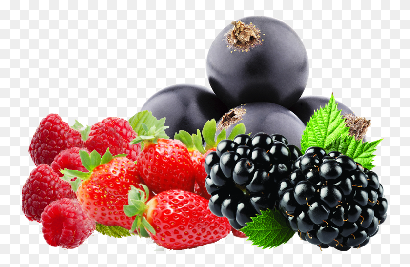 750x487 Soft Fruits Blackberry, Plant, Fruit, Food HD PNG Download