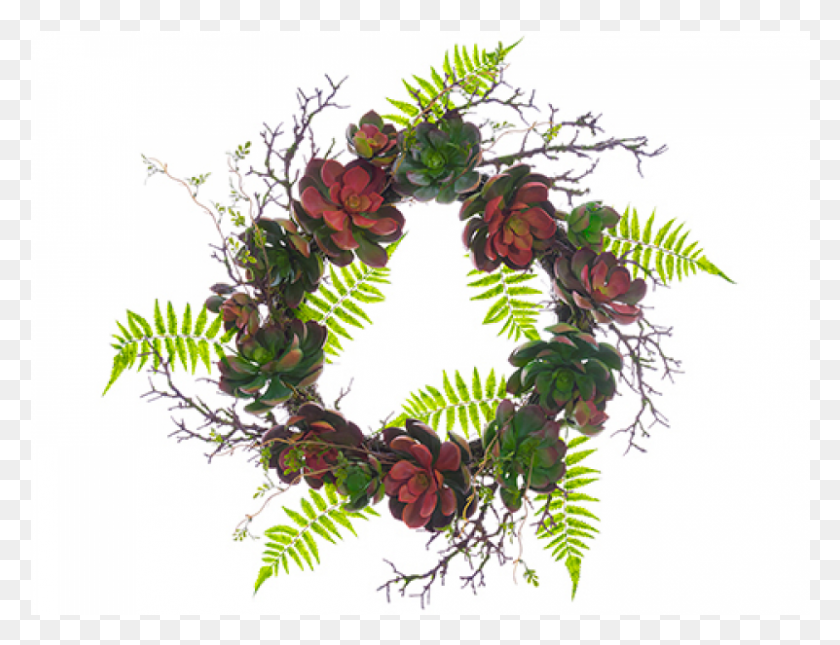 801x601 Soft Succulent Gardenfern Wreath Green Burgundy Wreath, Bush, Vegetation, Plant HD PNG Download