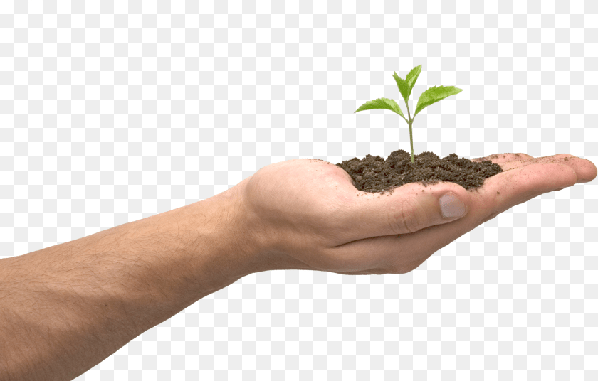 2494x1592 Soil, Person, Plant, Planting, Leaf Clipart PNG