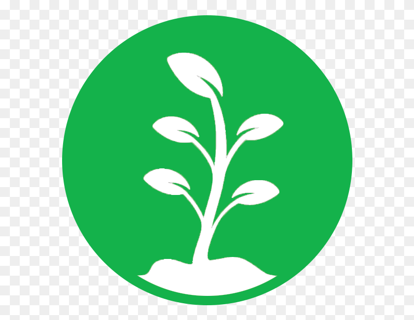 590x590 Soil Icone Entretien De Jardin, Plant, Vegetable, Food HD PNG Download