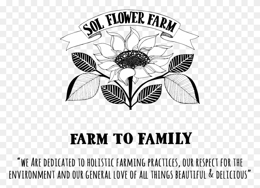 1264x891 Sol Flower Farm, Symbol, Graphics HD PNG Download
