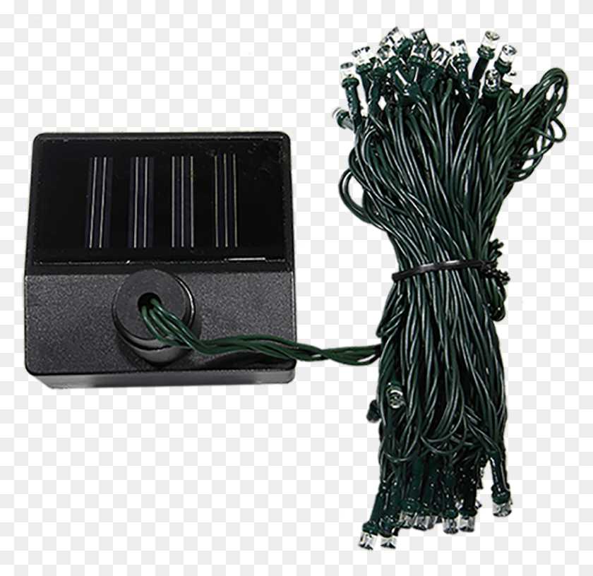 951x922 Solar Light String Laptop Power Adapter, Plant, Bird, Animal Descargar Hd Png