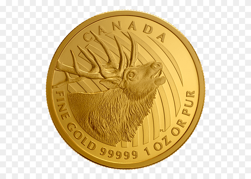 537x539 Solid Gold Background Canadian Gold Proof Coins, Coin, Money HD PNG Download