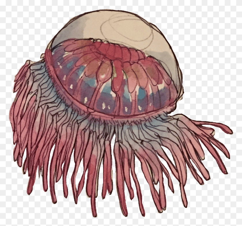 1063x989 Some Transparent Deep Sea Illustration, Jellyfish, Invertebrate, Sea Life Descargar Hd Png
