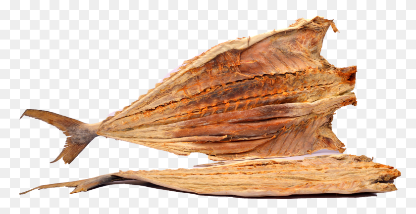 1142x547 Sometimes It Is Noticed That On The Vacuum Pack A Water Dry Fish, Plant, Bird, Animal HD PNG Download