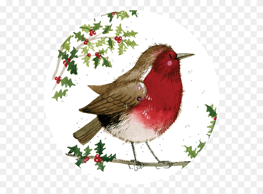 561x561 Songbird, Bird, Animal, Cardinal HD PNG Download