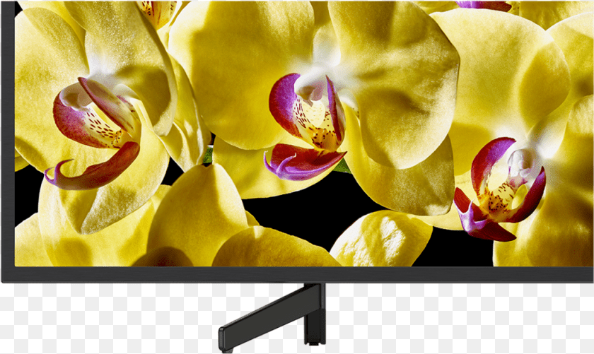 1044x623 Sony Kd, Computer Hardware, Screen, Plant, Orchid Transparent PNG