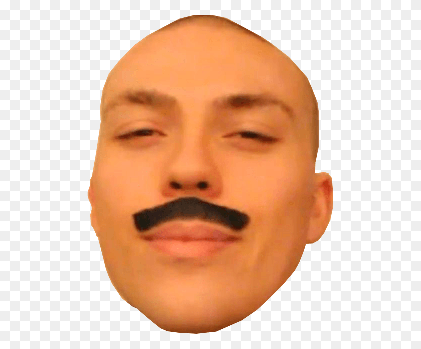 491x636 Soph Anthony Fantano Face, Person, Human, Mustache HD PNG Download