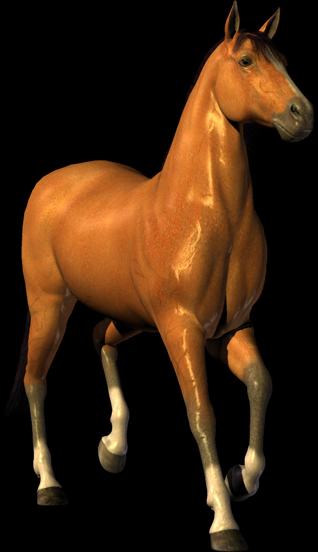 620x1077 Щавель, Лошадь, Млекопитающее, Животное Hd Png Скачать
