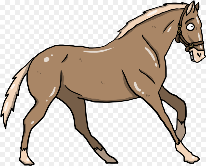 Sorrel, Animal, Colt Horse, Horse, Mammal Sticker PNG