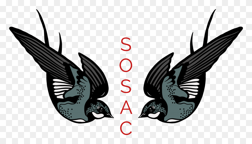 3315x1786 Sosac Photography Sosac Photography Sosac Photography Illustration, Bird, Animal, Eagle HD PNG Download