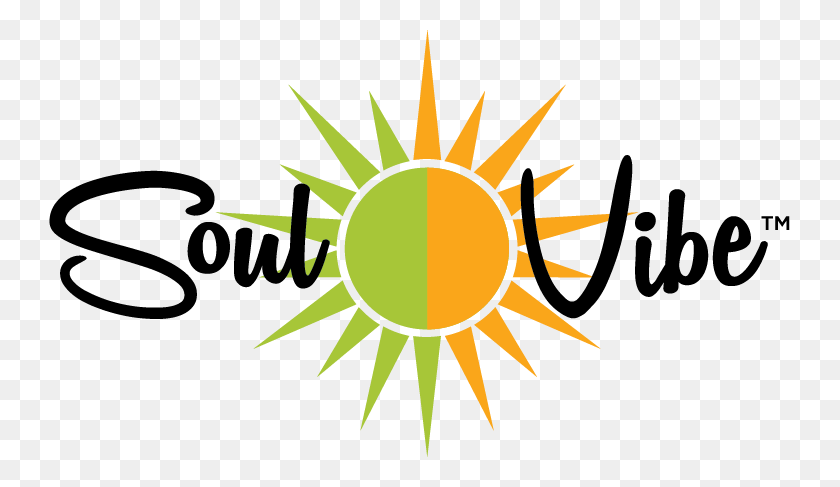 741x427 Soul Vibe Logo Color 4c Blk001 Circle, Symbol, Outdoors, Trademark HD PNG Download
