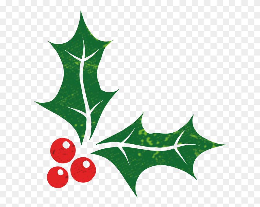 622x611 Soupologie Soups Christmas Holly Vettoriali Agrifoglio, Leaf, Plant, Person HD PNG Download