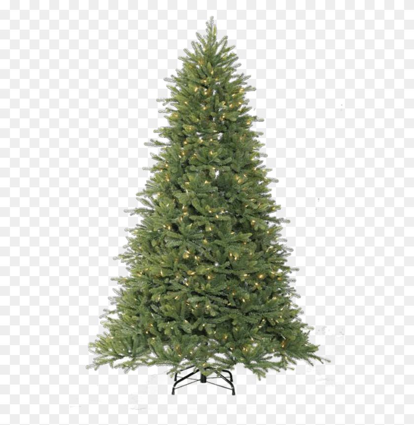 557x802 Source For Life Like Trees Artificial Christmas Trees, Christmas Tree, Tree, Ornament HD PNG Download