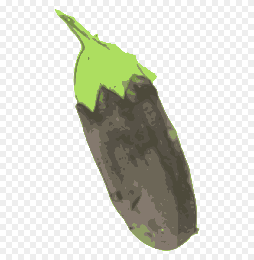 480x800 Source Openclipart Org Report Brinjal Eggplant, Plant, Vegetable, Food HD PNG Download