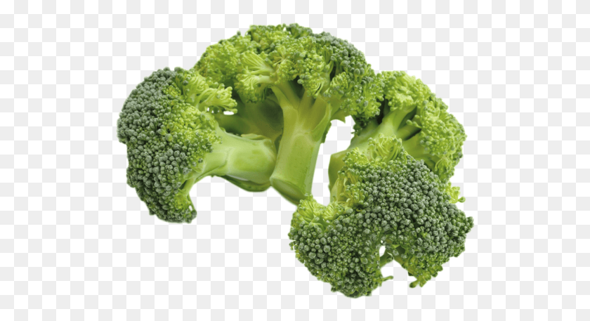 514x397 Sourced From Spain Broccoli, Plant, Vegetable, Food HD PNG Download