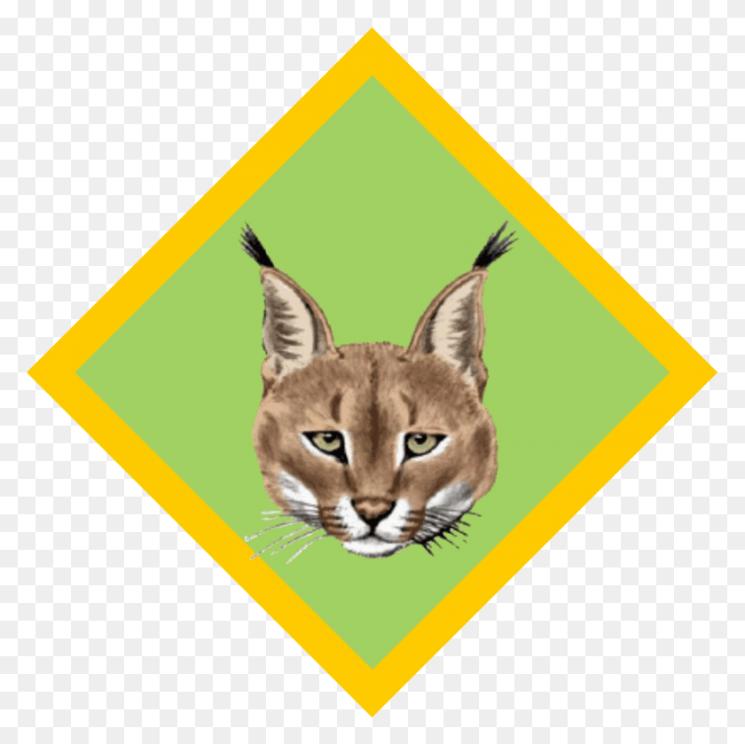 858x858 South African Scout Clipart Cubs South Africa Badges, Cat, Pet, Mammal HD PNG Download