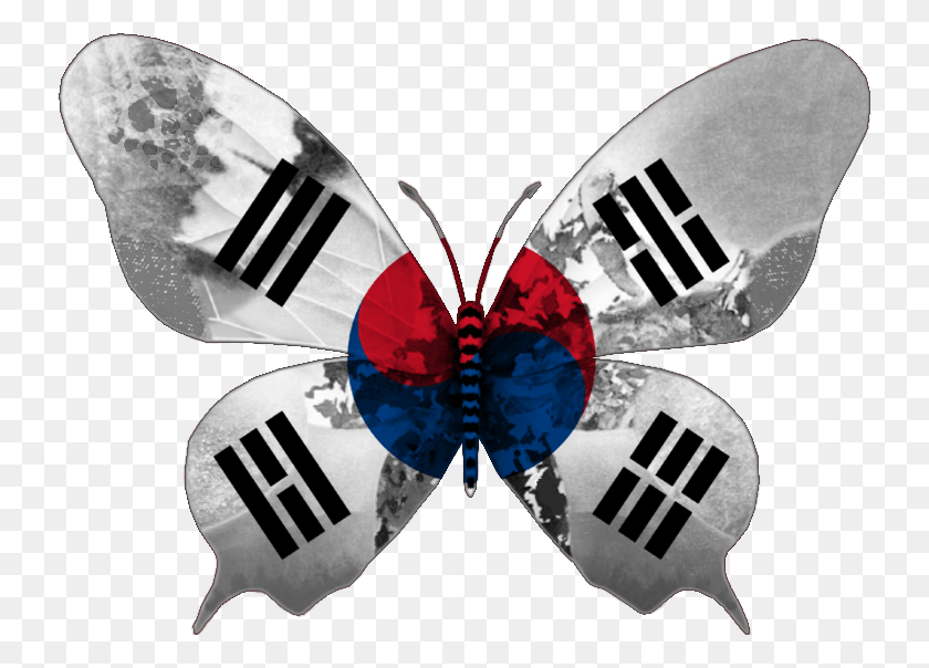 734x544 Descargar Png / Bandera De Corea Del Sur, Dardos, Juego, Traje Hd Png