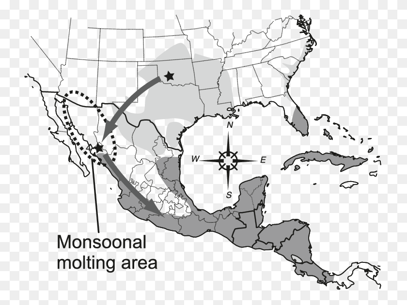 739x570 Южные Соединенные Штаты И Мексика, Карта, Диаграмма, Участок Hd Png Скачать