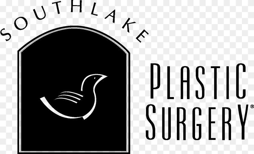 1383x841 Southlake Duck, Gray Transparent PNG