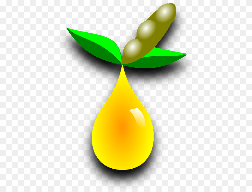 475x641 Soy Fuel Bean Oil Biodiesel, Leaf, Droplet, Plant, Produce PNG