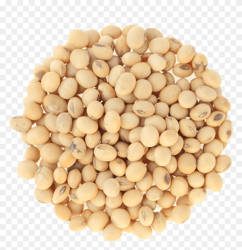 962x999 Soybean Dry Soya Bean, Plant, Vegetable, Food HD PNG Download