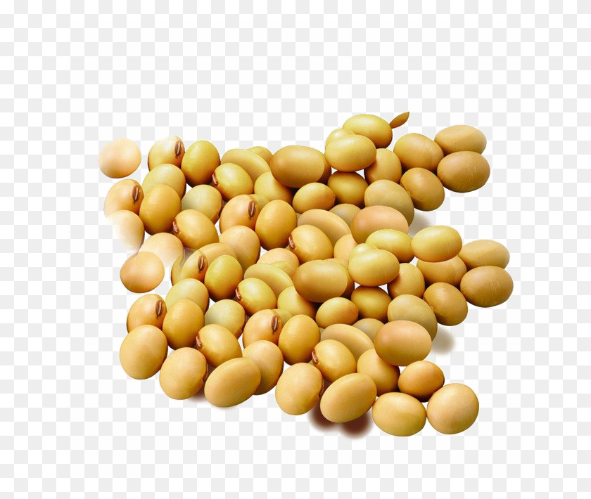 650x650 Soybean Swisse Lecithin, Plant, Soy, Bean HD PNG Download