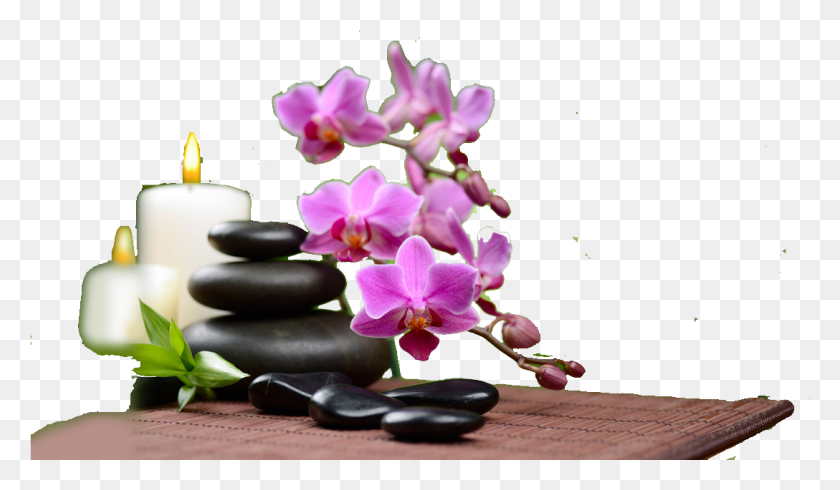 1088x601 Spa Beauty Image Free, Plant, Flower, Blossom HD PNG Download