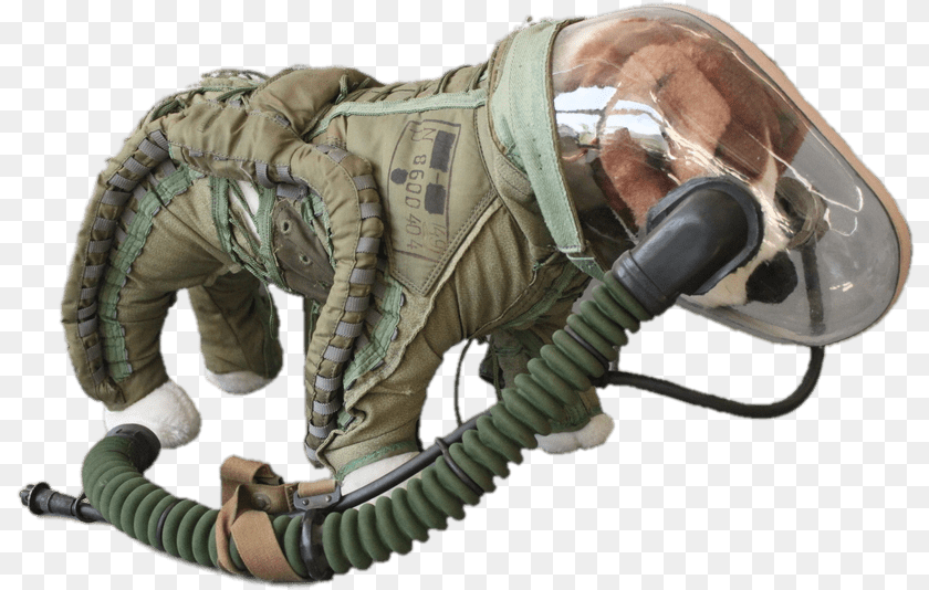 813x534 Space Suit For Dogs Dog Space Suit, Helmet, Adult, Male, Man PNG