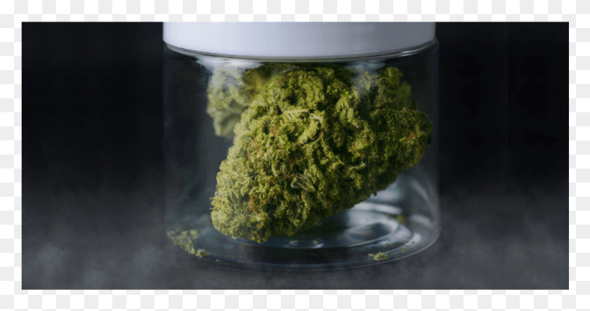 1001x492 Space Weed Cannabis Pesto, Plant, Moss, Vegetable HD PNG Download
