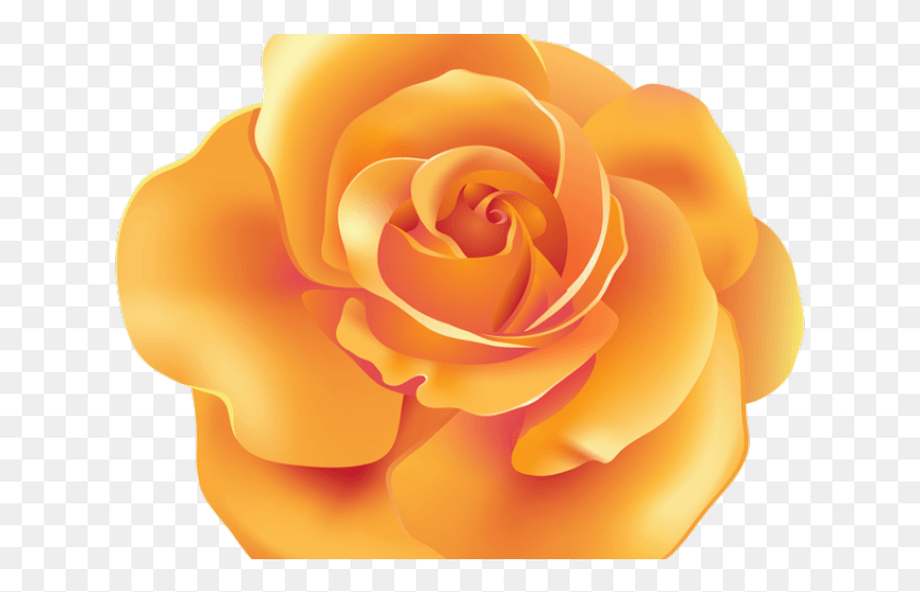 631x481 Испания Клипарт Красавица И Чудовище Роза Оранжевые Прозрачные Розы, Цветок, Растение, Цветение Png Скачать