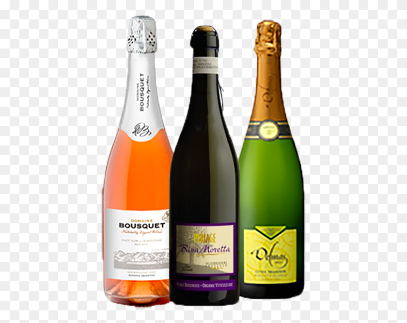 423x606 Sparkling Pack View Enlarged Image Biodynamic Champagne No Sulfites, Alcohol, Beverage, Drink HD PNG Download